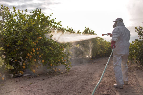 Best Pest Control Near Me  in East Porterville, CA