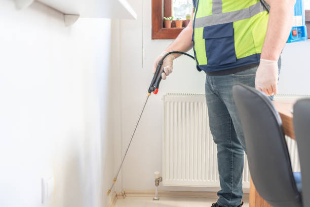Best Affordable Pest Control Services  in East Porterville, CA