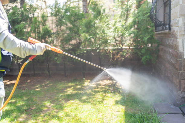 Trusted East Porterville, CA Pest Control Experts