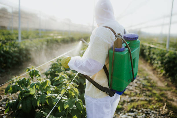Best Insect Control  in East Porterville, CA